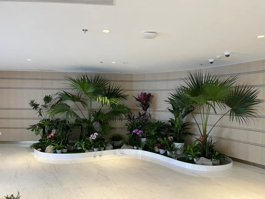 北仑盆景租摆价格大比拼，哪家才是性价比之王？